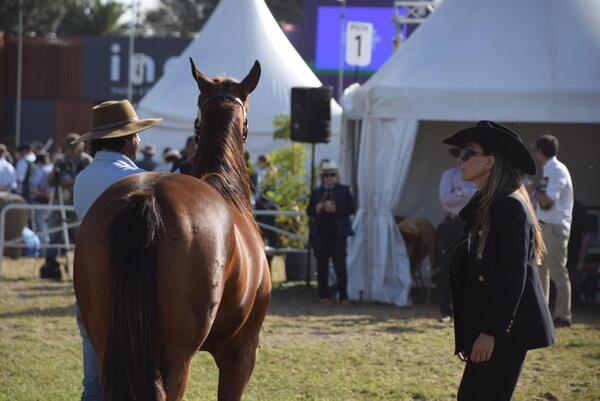 Julianna Wagner eligió a los mejores Cuarto de Milla de la Expo Prado