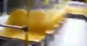 La Nación / ¡Actividad paranormal!: un chofer de colectivo tuvo como pasajera a un fantasma