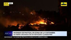 Incendio de pastizal en zona de la costanera - ABC Noticias - ABC Color