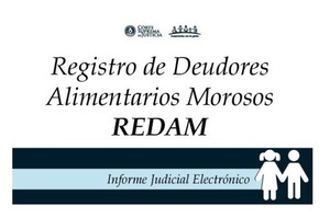Habilitado el Registro de Deudores de Prestación Alimentarios Morosos - Judiciales.net