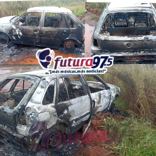 Vehículo con chapa brasileña fue incinerado