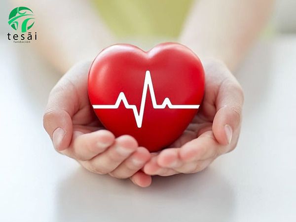 Fundación Tesãi celebra hoy el Día Mundial del Corazón | DIARIO PRIMERA PLANA