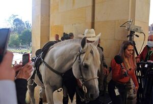 Video: Senador colombiano ingresa con su caballo al Congreso - Mundo - ABC Color