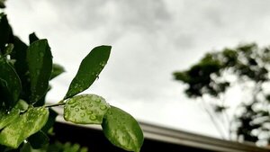 Jueves fresco con vientos del sur y lluvias dispersas - ADN Digital
