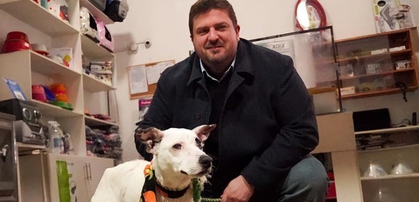 Plantean que Edificio del Congreso sea declarado «Espacio Pet Friendly»