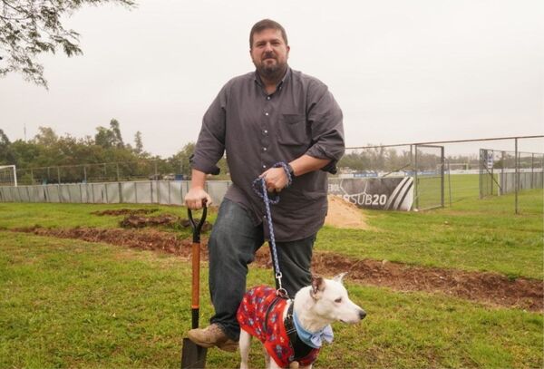 Senadores proponen que el Congreso se declare "Pet Friendly" - Megacadena — Últimas Noticias de Paraguay