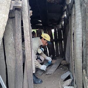 SENEPA realizó verificación entomológica para evitar enfermedades vectoriales en el Chaco