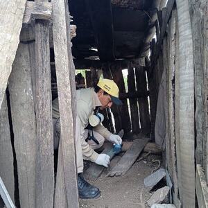 SENEPA realizó verificación entomológica para evitar enfermedades vectoriales en el Chaco