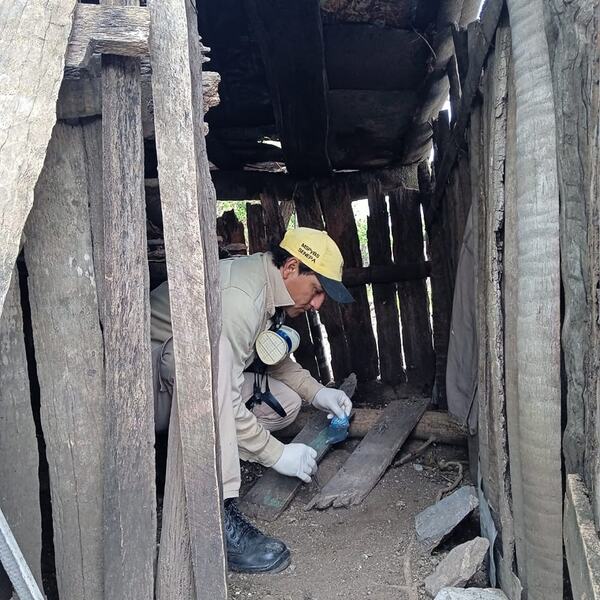SENEPA realizó verificación entomológica para evitar enfermedades vectoriales en el Chaco