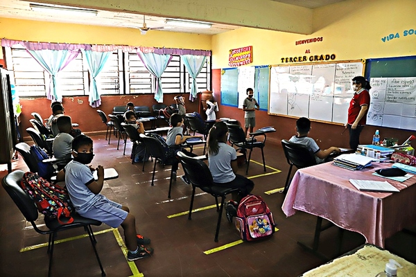 Transformación Educativa: “En las 1.600 páginas no hay nada sobre ideología de género” - El Trueno