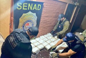 Incautan 35 kilos de cocaína marca “Dragón Ball Z” en Concepción