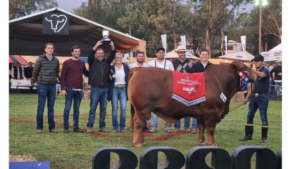 Brangus reafirmó su gran presente en la Nacional de Primavera (se vendió genética por G. 1.800 millones)