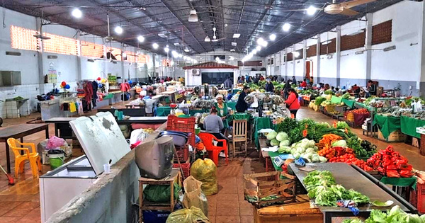 Hortigranjeros reportan pérdidas debido a las constantes lluvias - La Clave