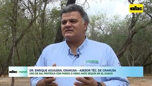 Sal proteica con fardo o heno para animales, ante la sequía Chaqueña - ABC Rural - ABC Color
