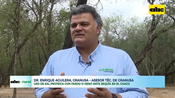 Sal proteica con fardo o heno para animales, ante la sequía Chaqueña - ABC Rural - ABC Color