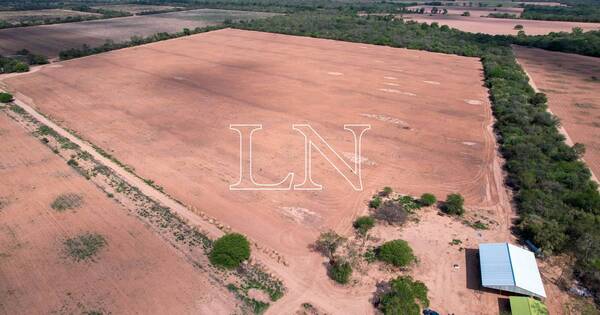 La Nación / Gobernador de Boquerón celebró la lluvia, pero lamenta recorte presupuestario