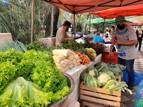 La Feria de la Red Agroecológica: los sábados en Plaza Italia