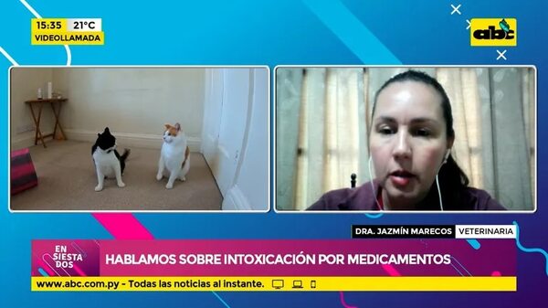 Hablamos sobre intoxicación por medicamentos - Ensiestados - ABC Color