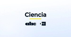 La crisis climática será tema central del Festival de las Ciencias de Chile - Ciencia - ABC Color