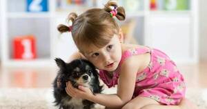 La Nación / Mascotas ayudan a evitar alergias en infantes