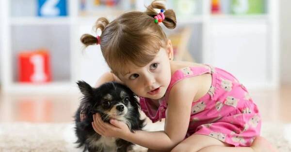 La Nación / Mascotas ayudan a evitar alergias en infantes