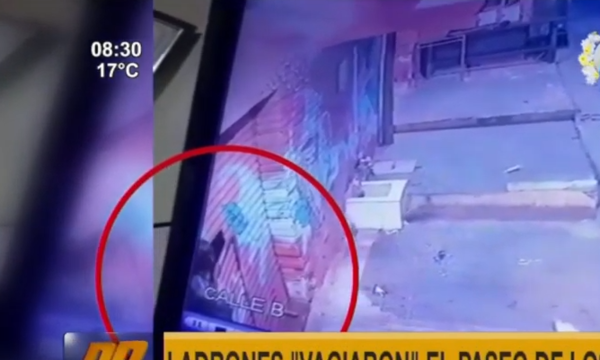 ''Vaciaron'' el Paseo de los Yuyos - Paraguaype.com