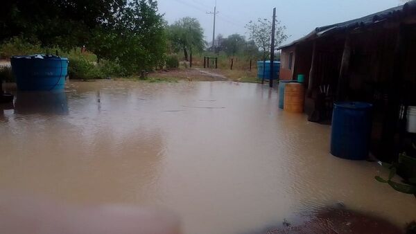 Una semana con lluvias en Alto Paraguay logra aplacar la sequía