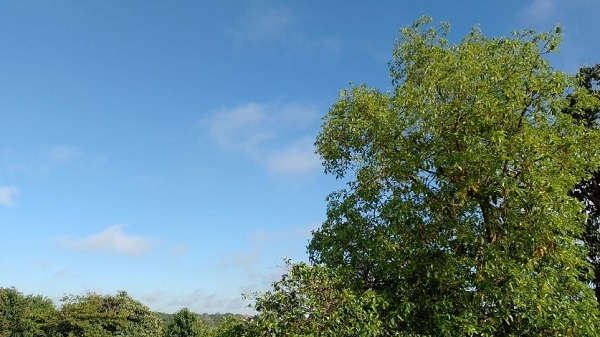 Pronostican sábado fresco a cálido y sin lluvias