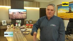 Preocupan invasiones de tierras y el problema ideológico - ABC Rural - ABC Color
