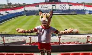En Asunción arranca la mayor fiesta deportiva en la historia del país, juegos Odesur - OviedoPress