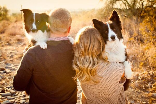 Jueza falla a favor de una "familia multiespecie" y pareja divorciada logra un régimen de visita para sus mascotas - Megacadena — Últimas Noticias de Paraguay