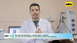 Resultados a campo de uso de microbiomas en cultivos - no tiene nombre - ABC Color