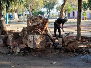 Llaman a proteger las plazas que “el Indi y la SEN disponen como refugios y asentamientos” - Nacionales - ABC Color