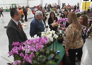 Primaveral Expo Flora en Abasto Norte, hoy sábado hasta las 18:00 proseguirá mañana domingo - Nacionales - ABC Color