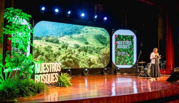 Infona presenta datos históricos sobre deforestación en Paragiuay •