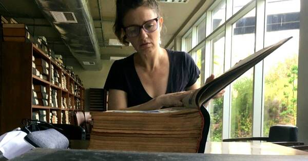 La Nación / “Trasladanza”: Una investigación sobre la historia de nuestra danza