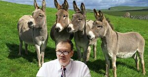 Iburrola - Informatepy.com