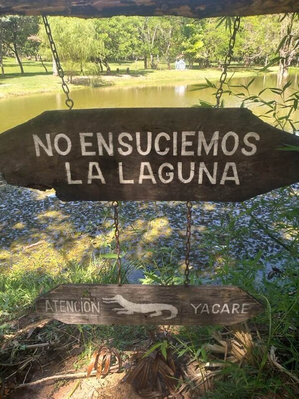 Estaban advertidos: era territorio de los yacarés | 1000 Noticias