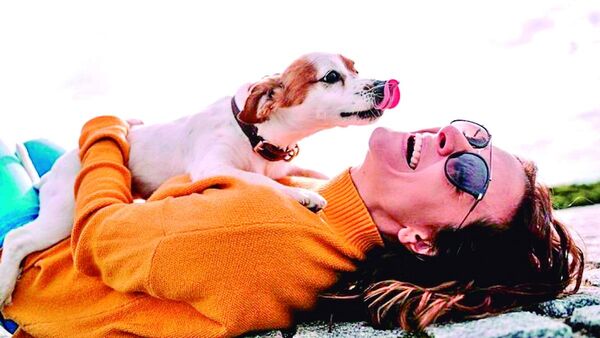 Los perros son capaces de oler el estrés de las personas
