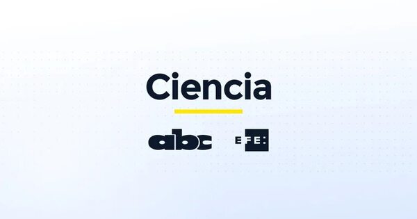 Observan los primeros indicios de que el asteoroide impactado se ha desviado - Ciencia - ABC Color