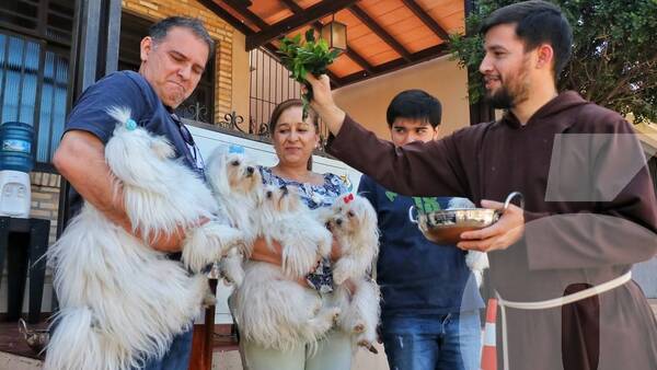 Crónica / Firulais kuera recíbien la bendición de los Capuchinos en honor a San Francisco de Asís