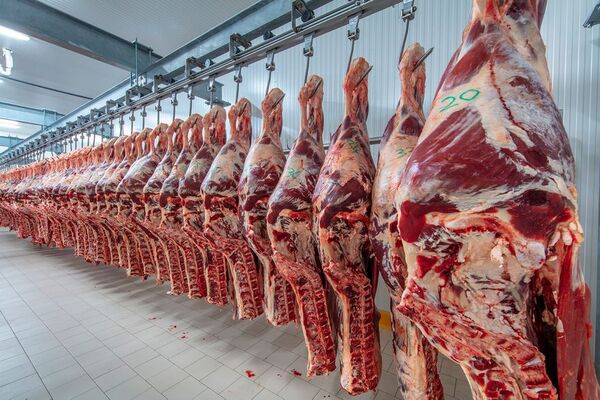 Argentina: en agosto exportaron 57.000 toneladas de carne vacuna, 5% menos