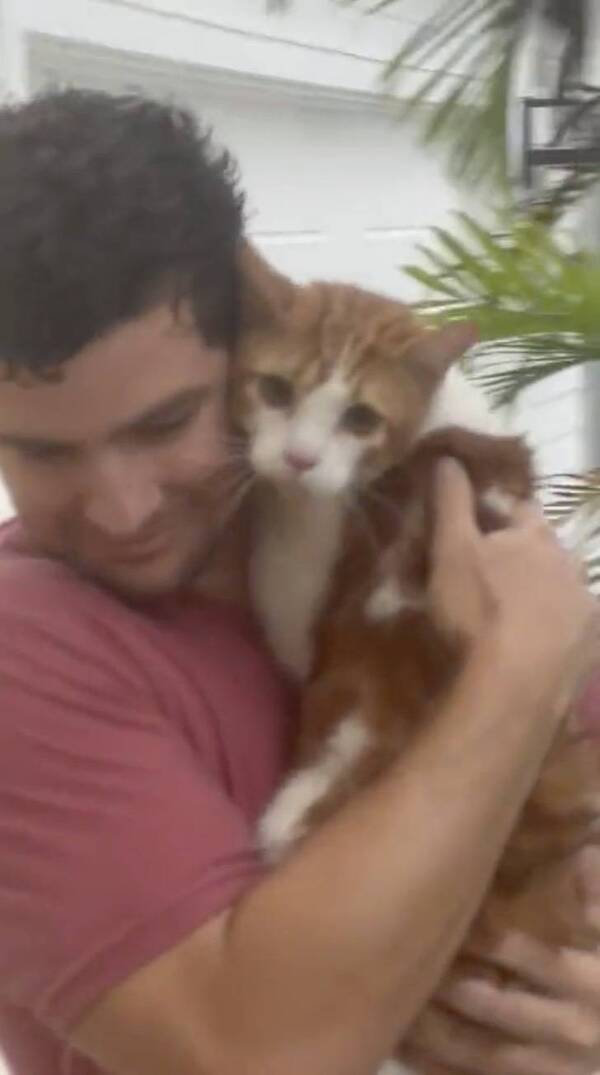 Joven arriesgó su vida para salvar a un gato del huracán Ian - Unicanal