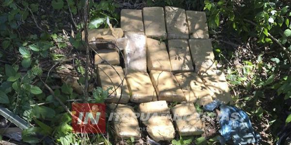 CARMEN DEL PNÁ: HALLARON MARIHUANA EN ZONA BOSCOSA