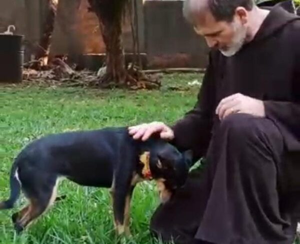 Bendicen mascotas en día de San Francisco de Asís