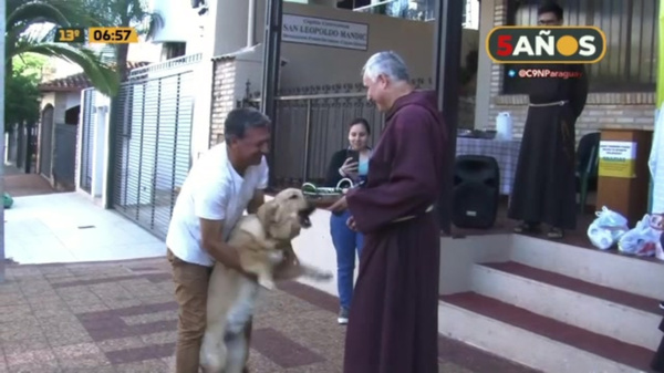 Día de San Francisco de Asís: Día de los animales - C9N