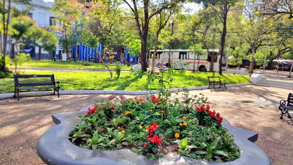 Hermoseamiento de plazas de Asunción estaba 'en agenda desde hace dos meses', según municipalidad