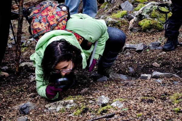 La alerta temprana del cambio climático en los bosques del fin del mundo - Ciencia - ABC Color