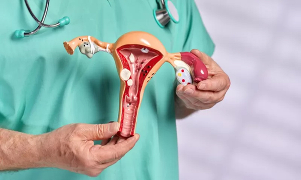Síndrome de Rokitansky: La condición que provoca que las mujeres nazcan sin útero y canal vaginal - OviedoPress