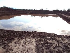 Tajamares se reabastecen de agua en Alto Paraguay - Noticias del Chaco - ABC Color